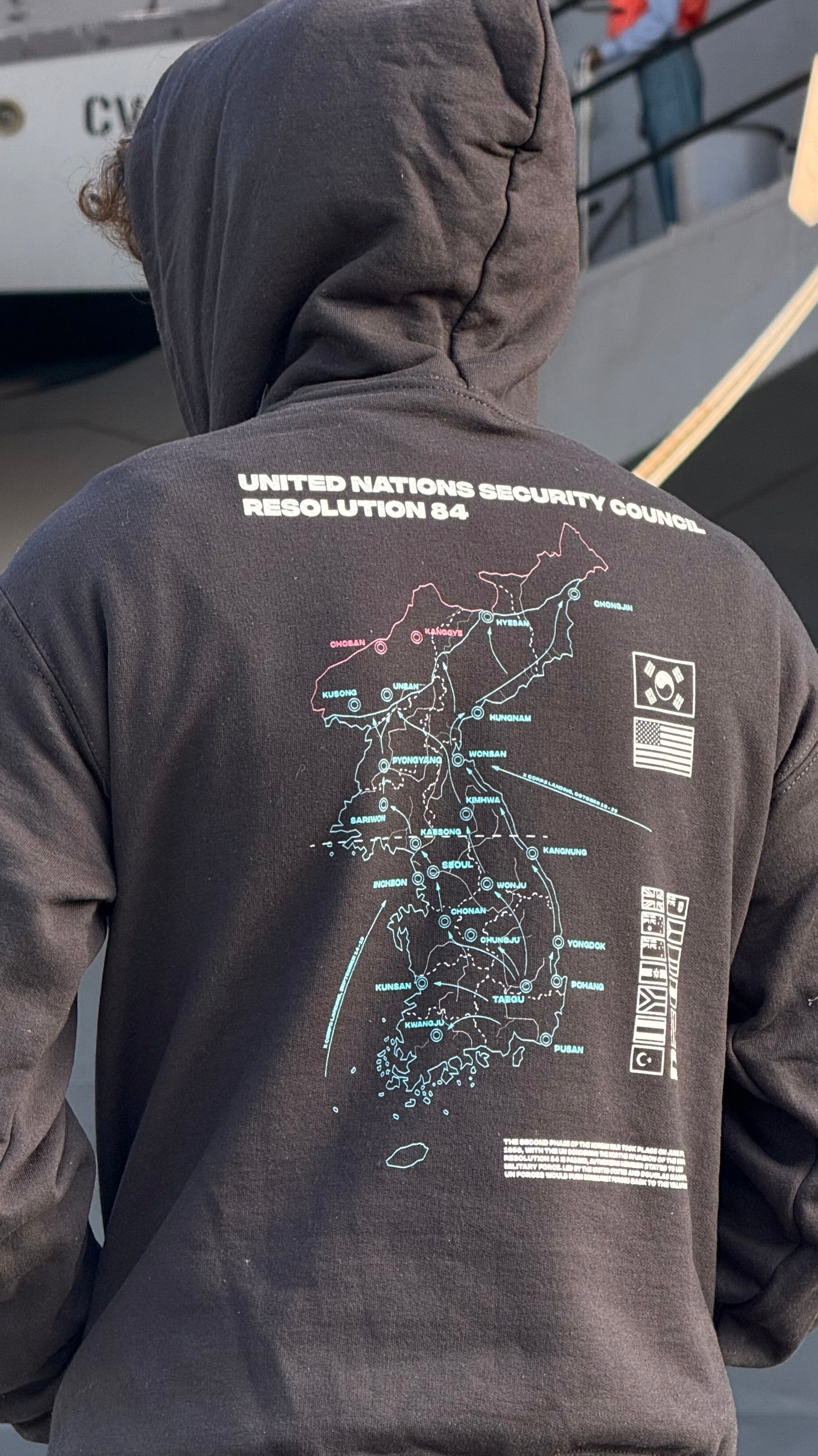 UNSC Resolution 84 Hoodie