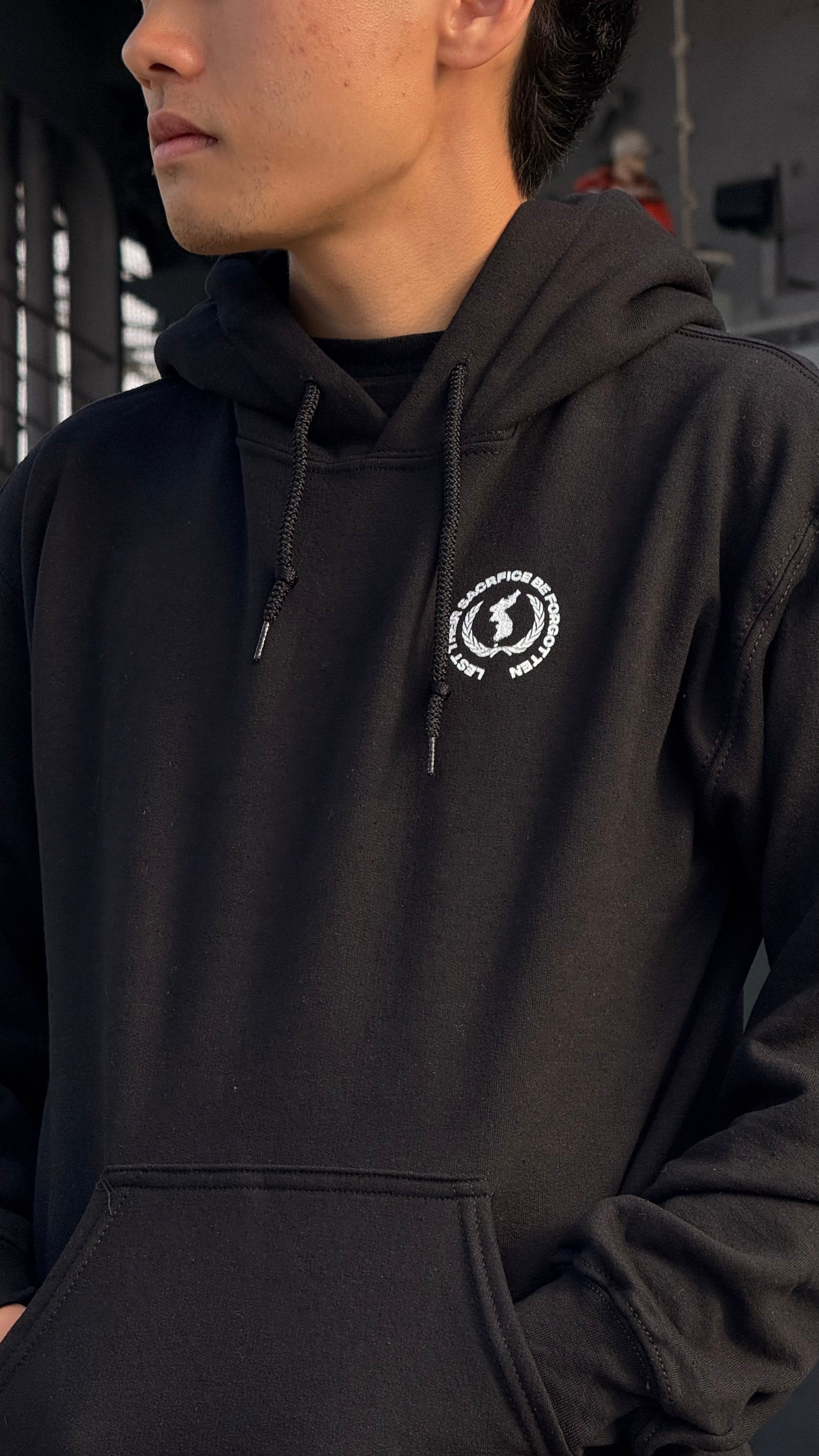 UNSC Resolution 84 Hoodie